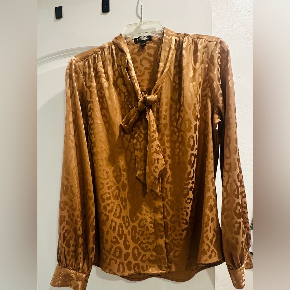 Express Brown/Gold Blouse with scarf tie Size Medium